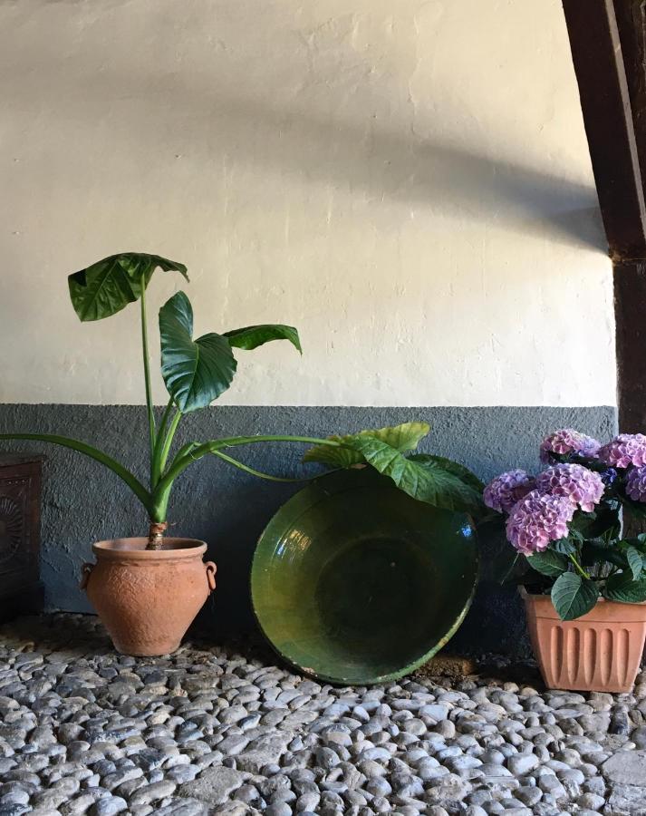 פוטס Apartamentos Villa Solana , Casco Historico מראה חיצוני תמונה